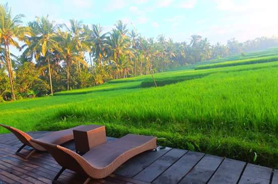 FB_IMG_1434280260092.jpg image