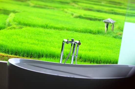 FB_IMG_1434280265112.jpg image