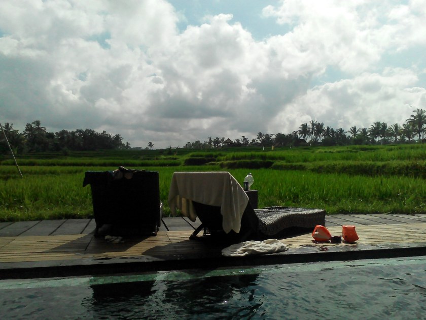 IMG_20150531_101217.jpg image