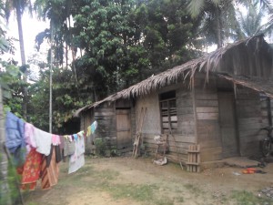 SAM_1280-300x225.jpg image