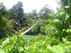 SAM_1351-300x225.jpg image