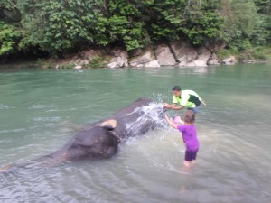 SAM_1410-300x225.jpg image