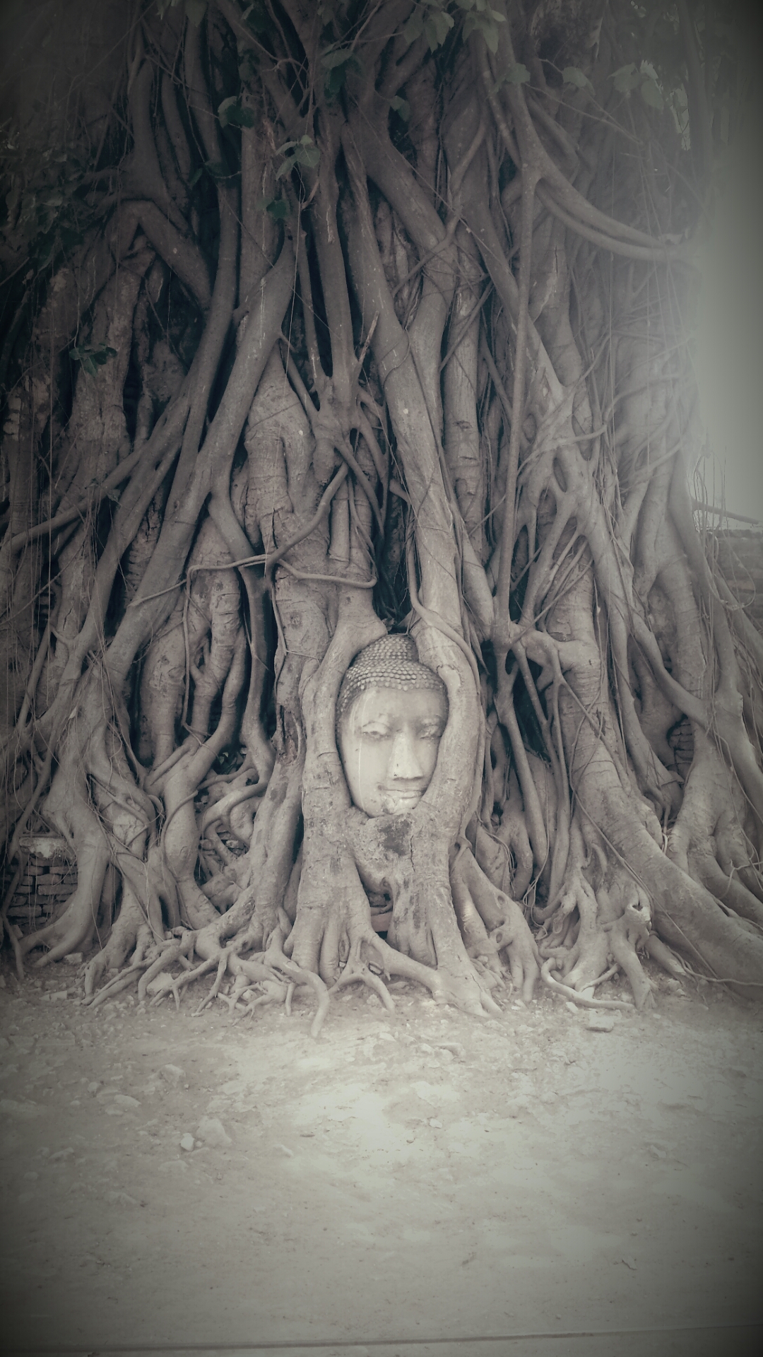 Eine Nacht in Ayutthaya….