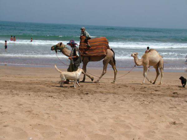 Niams erste Reise geht&nbsp;nach…..
