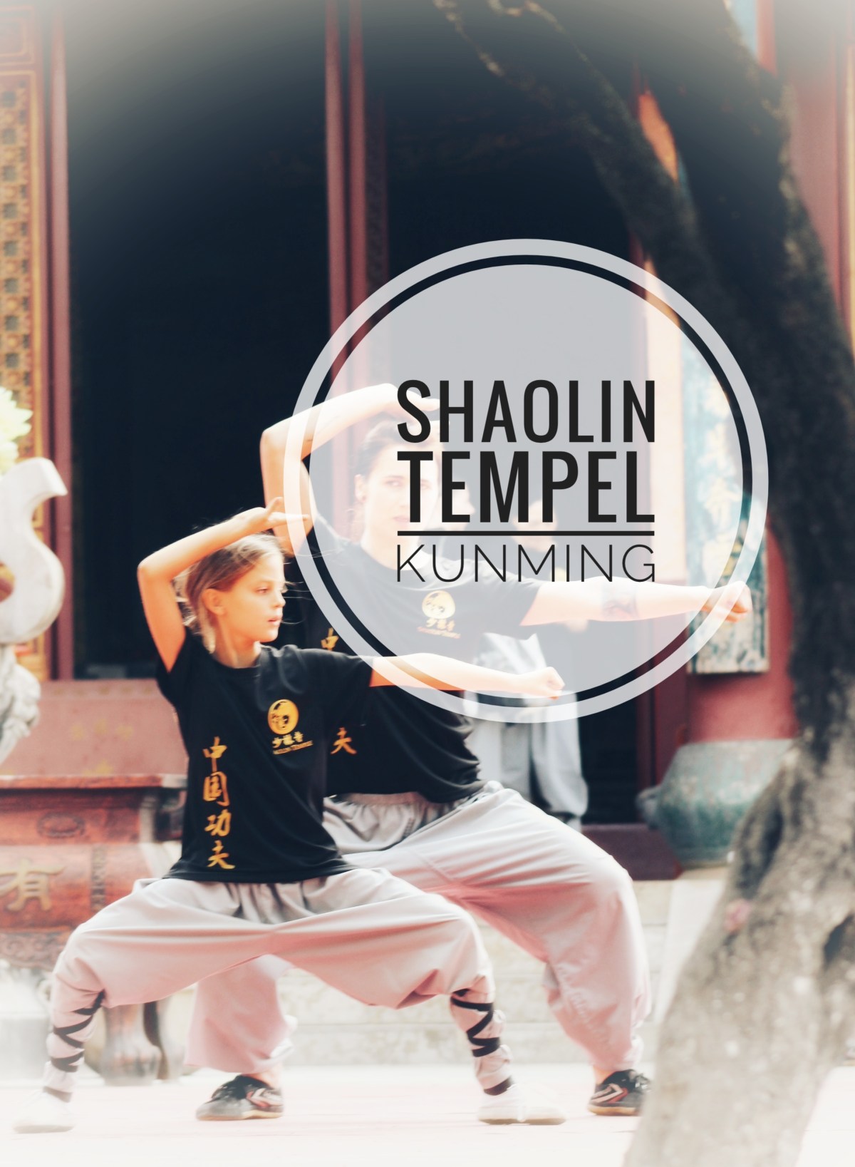 Everybody was Kung Fu Fighting….